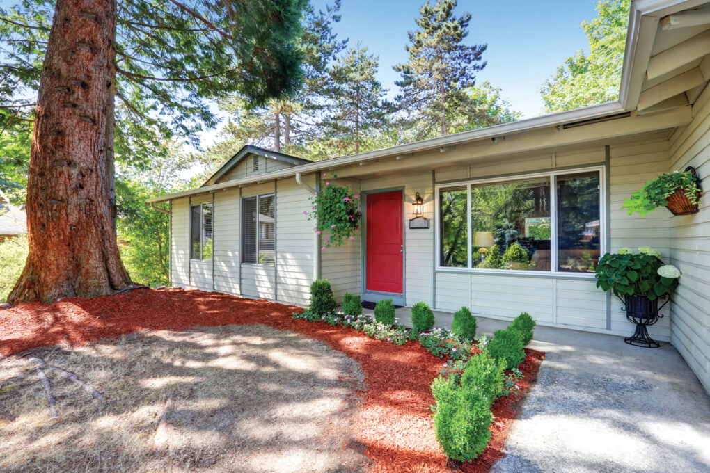 S200 painted in Rio rf-paint-rio-s200